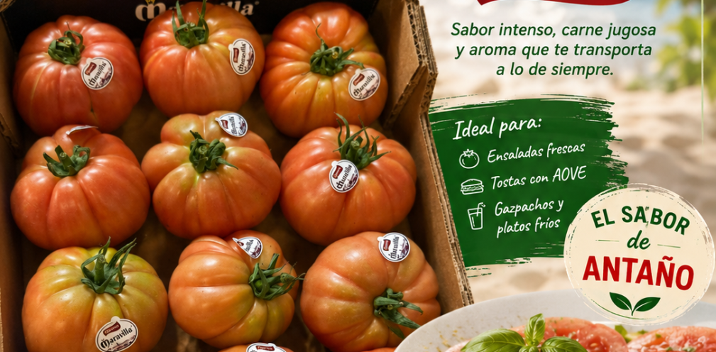 Tomate 'Maravilla' Caparrós